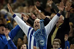 Brighton & Hove Albion vs. Yeovil Town: 25 April 2014 (Season 2013-14 Home Game)