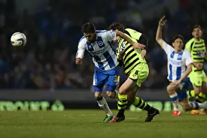 Brighton & Hove Albion vs. Yeovil Town: 25 April 2014 (The Seagulls Home Game against Yeovil Town)
