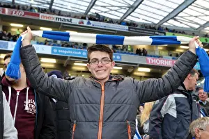 Brighton & Hove Albion vs. Yeovil Town: 25 April 2014 (The Seagulls Home Game against Yeovil Town)
