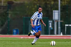 Chesham (2) Prints: Brighton & Hove Albion Women: 2013-14 Season - Chesham Match