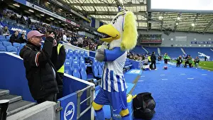 Sally Club Mascot Prints: Brighton and Hove Albion Women v Everton Women Women's Super League 19APR24