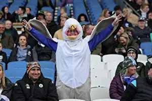 Brighton and Hove Albion Women v Everton Women Women's Super League 19APR24