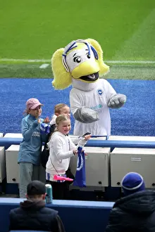 Leicester City Women 16NOV25 Prints: Brighton and Hove Albion Women v Leicester City Women Women's Super League 16NOV25 Brighton