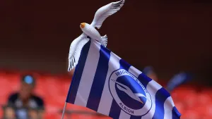Flags Prints: Brighton and Hove Albion Women v Manchester City Women Women's FA Cup FINAL 31MAY26