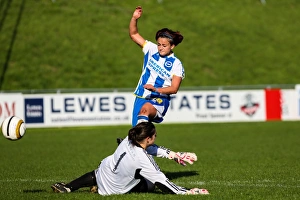 Lewes Prints: Brighton & Hove Albion Women vs. Lewes: A Clash in the 2013-14 Albion Women's League
