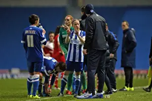 Brighton & Hove Albion Women vs Charlton Athletic Ladies: FA Womens Premier League Showdown at American Express Community Stadium (December 2015)