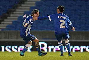 Brighton & Hove Albion Women vs Charlton Athletic Ladies: FA Womens Premier League Clash at American Express Community Stadium (December 2015)