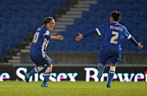 Brighton & Hove Albion Women vs Charlton Athletic Ladies: FA Womens Premier League Showdown at American Express Community Stadium (December 2015)