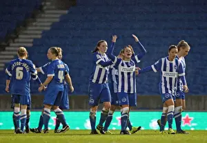 Brighton & Hove Albion Women vs Charlton Athletic Ladies: FA Womens Premier League Clash at American Express Community Stadium (December 2015)