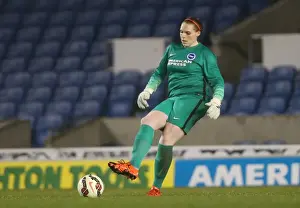 Brighton & Hove Albion Women vs Charlton Athletic Ladies: FA Womens Premier League Showdown at American Express Community Stadium (December 2015)