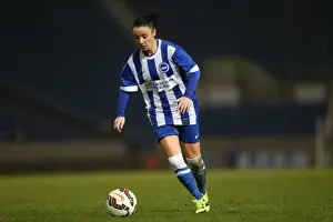 Brighton & Hove Albion Women vs Charlton Athletic Ladies: FA Womens Premier League Showdown at American Express Community Stadium (December 2015)