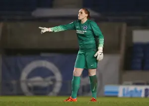 Brighton & Hove Albion Women vs Charlton Athletic Ladies: FA Womens Premier League Clash at American Express Community Stadium (December 2015)