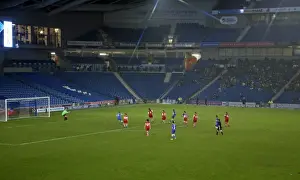 Brighton & Hove Albion Women vs Charlton Athletic Ladies: FA Womens Premier League Showdown at American Express Community Stadium (December 2015)