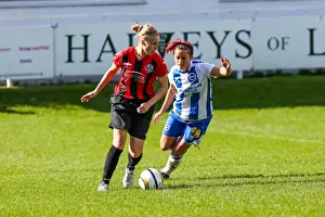 Lewes Prints: Brighton & Hove Albion Women's Football: 2013-14 Season - Lewes Match