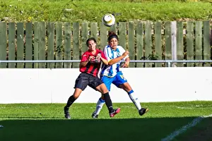 Lewes Prints: Brighton & Hove Albion Women's Football: 2013-14 Season - Lewes Match