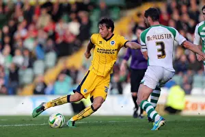 Brighton & Hove Albion at Yeovil Town (2013-14 Away Game)