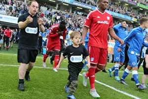 Brighton & Hove Albion's 25th Anniversary Celebration: A Memorable Sky Bet Championship Clash Against Cardiff City (3 October 2015)