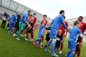 Brighton & Hove Albion's 25th Anniversary Celebration: A Milestone Match against Cardiff City in the Sky Bet Championship (3 October 2015)
