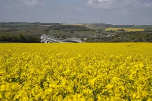 Brighton and Hove Albion's Amex Stadium Amidst Rapeseed Fields, May 2018