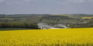 Brighton and Hove Albion's Amex Stadium Amidst Rapeseed Fields, May 2018