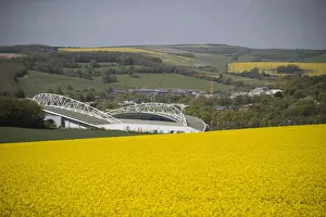 Brighton and Hove Albion's Amex Stadium Amidst Rapeseed Fields, May 2018