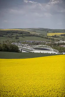 Brighton and Hove Albion's Amex Stadium Amidst Rapeseed Fields, May 2018