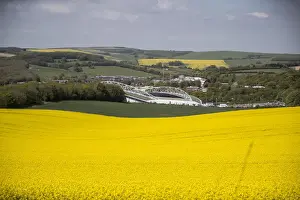 Brighton and Hove Albion's Amex Stadium Amidst Rapeseed Fields, May 2018