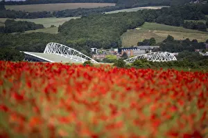 Brighton & Hove Albion's Amex Stadium: A Football Haven