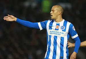 MK Dons 07NOV15 Prints: Brighton & Hove Albion's Bobby Zamora in Action Against Milton Keynes Dons