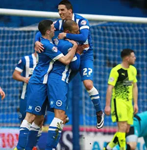 Brighton & Hove Albion's Bobby Zamora Scores in Championship Clash vs. Huddersfield Town (23 Jan 2016)