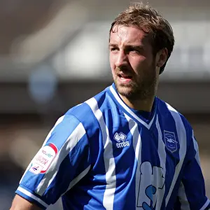 Brighton & Hove Albion's Brilliant Glenn Murray: A Star Forward Shines