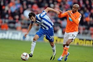 Images Dated 27th October 2012: Brighton & Hove Albion's Will Buckley in Action against Blackpool, Npower Championship, October 2012