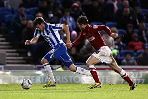 2013 Prints: Brighton & Hove Albion's Will Buckley in Action Against Charlton Athletic, April 2013