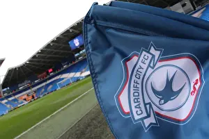 Cardiff City Prints: Brighton and Hove Albion's Championship Showdown at Cardiff City Stadium (03DEC16)