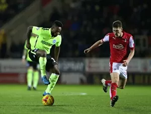 Images Dated 12th January 2016: Brighton and Hove Albion's Championship Victory at Rotherham United (12 January 2016)