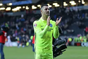 Brighton and Hove Albion's Championship Victory over MK Dons on March 19, 2016