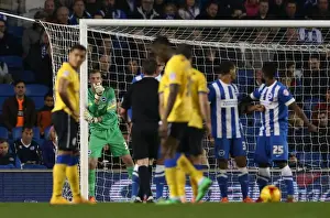 Brighton & Hove Albion's Christian Walton: A Clean Sheet Debut Against Wigan Athletic (4 Nov 2014)
