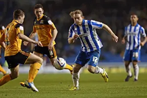 Hull City - 09-02-2013 Prints: Brighton & Hove Albion's Craig Mackail-Smith in Action Against Hull City