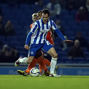 Millwall - 18-12-2012 Prints: Brighton & Hove Albion's David Lopez Amidst the Forest, Millwall Clash (Dec 18, 2012)