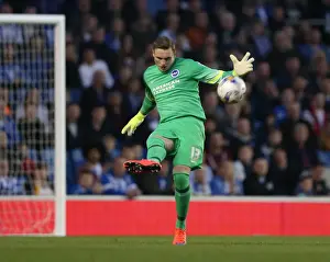 Brighton & Hove Albion's David Stockdale in Action against AFC Bournemouth (April 10, 2015)