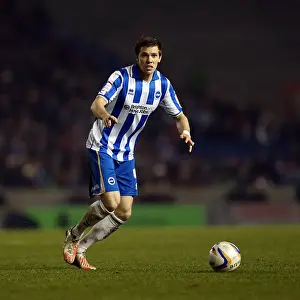 Millwall - 18-12-2012 Prints: Brighton & Hove Albion's Dean Hammond in the Midst of Brighton Forest during Millwall Match