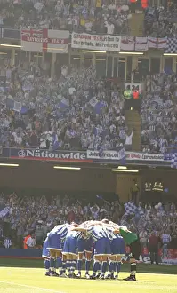 Brighton & Hove Albion's Epic Climb to the Premier League: 2004 Championship Play-off Final Victory