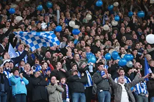 Brighton & Hove Albion's Epic FA Cup Battle at Villa Park, January 2010