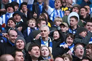Brighton & Hove Albion's Epic FA Cup Battle at Villa Park (January 2010)