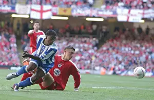 Brighton & Hove Albion's Epic Play-off Final: 2004 Championship Promotion Victory