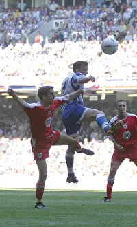Brighton & Hove Albion's Epic Play-off Final Triumph: 2004 Championship Win