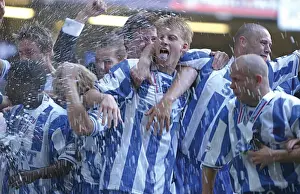 Brighton & Hove Albion's Epic Play-off Final Triumph: 2004 Championship Win