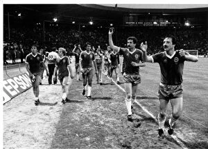 1983 FA Cup Final Collection: Brighton & Hove Albion's Glorious Victory at the 1983 FA Cup Final