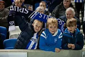 Reading - 10-04-2012 Prints: Brighton & Hove Albion's Historic 10-04-2012 Victory Against Reading: A Memorable 2011-12 Season Home Game
