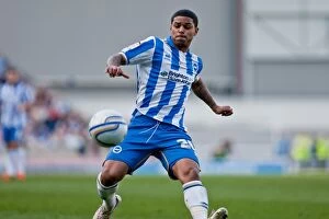 Images Dated 10th March 2012: Brighton & Hove Albion's Historic 10-3-12 Victory Over Portsmouth